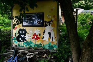 가평 야옹이네 Near Seoul Healing Stay Cats, BBQ, Korean Firepit Nights - 1