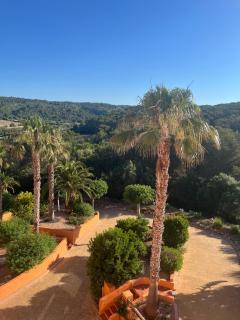 EL MIRADOR - 1