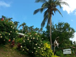Gecko Lodge Fiji - Savusavu - 5