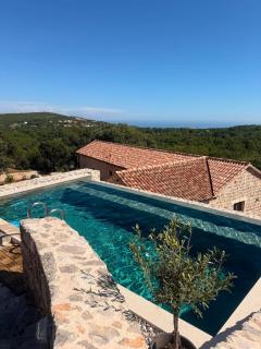 Heritage House Strahinja Stone Villa with Private Pool - 1