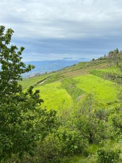 La valle dei ciliegi - 2