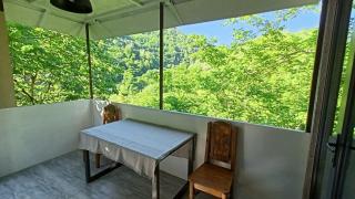 Modular House Green Zyland Alpha 2 - 3