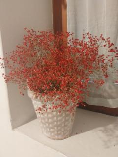 Sea View Garden - 6