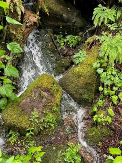 Mt Vernon 3BR&3BA Peaceful Off-Grid Cabin, Hiking, Waterfalls & Downtown Nearby - 9