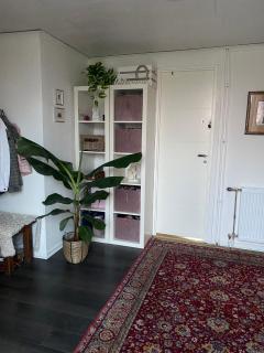 Isomegård Väte Gotland - 6