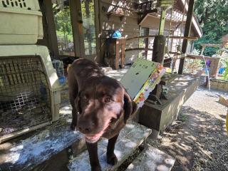 Mt Vernon 3BR&3BA Peaceful Off-Grid Cabin, Hiking, Waterfalls & Downtown Nearby - 2