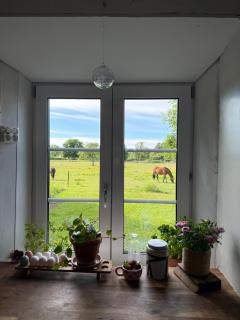 Isomegård Väte Gotland - 9
