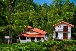 Haputala Blossom guest - 5
