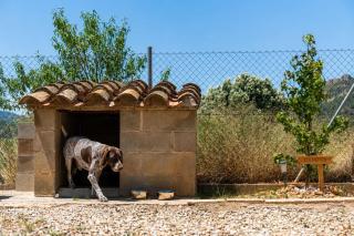 Casa rural Tossal de Engrillo - 2