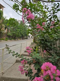 The Tapovan Retreat - 7