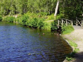 6 person holiday home in Ålbæk - 6