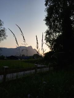 Ferienwohnung Wilder Garten in Bad Aussee mit Gartenbenutzung - 3