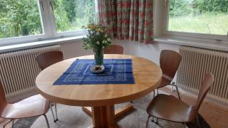 Ferienwohnung Wilder Garten in Bad Aussee mit Gartenbenutzung - 1