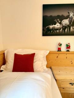 Luxury Chalet at the Foot of the Dolomites by the Castle - 2