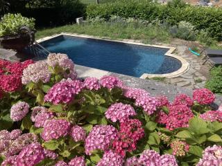 Lovely family home in Chartreuse mountains - Voreppe - 6