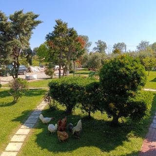 Agios Mamas beach house - 1