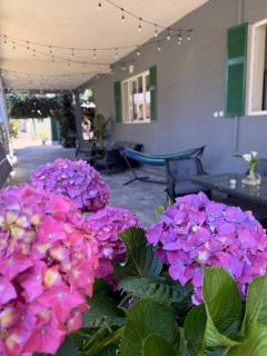 Madona Homestay - 1