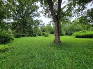 Bright and Quiet 1BR with Kitchen, Backyard and Parking - 2