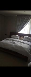 A fully furnished 2-Bedroom apartment at Tse addo - 0