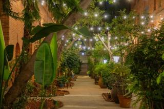 Beautiful Hollywood Apartment - 7