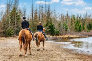 Lake Hideaway with BBQ, Fire Pit & Horses - 6