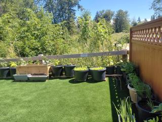 BRAND NEW LUXURY 4 Beds 4 baths Home Langley Perfect for Families and Groups - 5
