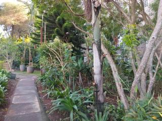 Garden Oasis - 7