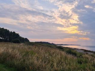 14 person holiday home in Sjællands Odde - 3