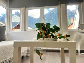 Level One Apartment - Central Busteni with Garden - 4