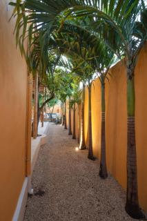 Casa Rayo with Cenote style pool Great for families - 3