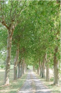Chateau Saint Joseph un havre de paix familial en pleine nature - 4