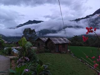 H'Mong Lady Sapa - 1