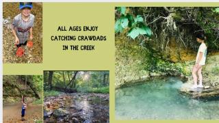 Country Sunshine Cabins - 7