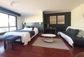 Loft in Providencia, costanera center con estacionamiento - 6