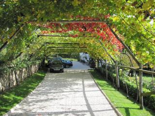 Hotel & Residence Rebhof - Tirol - 6