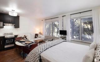 Perfect Inside Downtown Aspen Location! Romantic 1300 ft, 4 Blocks or 396 m, to AJAX or Aspen Mountain - 8