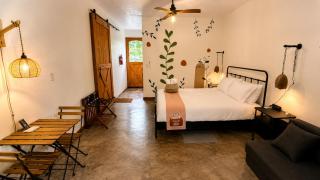Finca Ki' - Eco Farm Stay Bed & Breakfast - El Yunque Region - 4