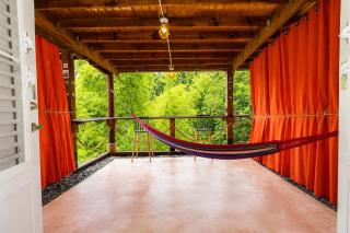 Finca Ki' - Eco Farm Stay Bed & Breakfast - El Yunque Region - 5