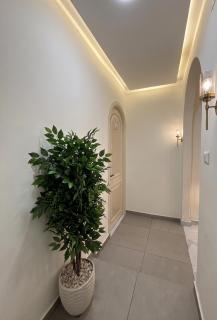Maravia Grand downtown hotel - 1