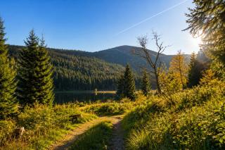 Gemütliches Apartment mit Bergblick im Bayerischen Wald Gratis Osserbad - 2