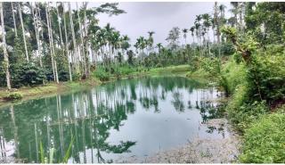 The Whispering Woods Homestay, Murnad - 3