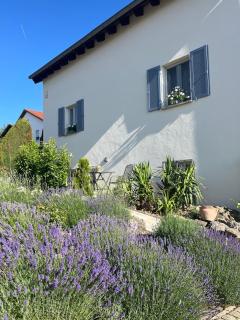 Ferienwohnung am Goldberg - 7