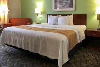 Quality Inn Holland - Toledo - 1
