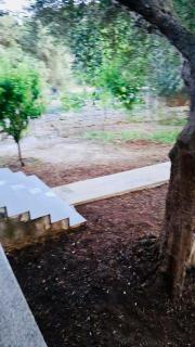 Olive Breeze Apartments - 3