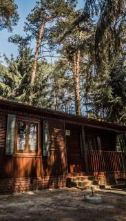 Leśna Ryba I Domki nad jeziorem z parkiem linowym - 7
