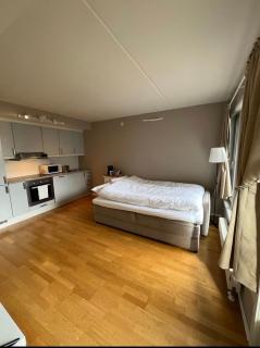 Charming Apartment in Oslo City lift & balcony - 7