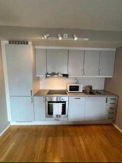 Charming Apartment in Oslo City lift & balcony - 6