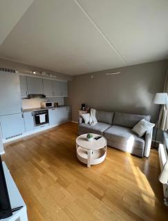 Charming Apartment in Oslo City lift & balcony - 1