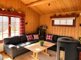 Family cabin in Geilo - 8