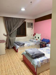 Losaka nasr city Hotel - 5